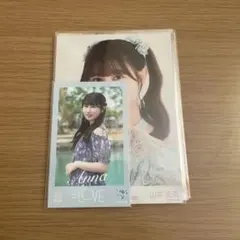 山本杏奈 生写真 まとめ売り