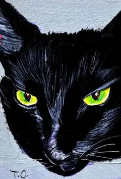 色鉛筆画A4 黒猫.40 - メルカリ