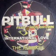Pitbull Chris Brown - International Love
