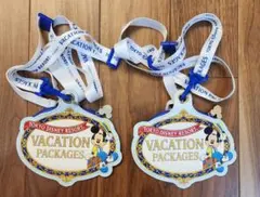 Tokyo Disney Resortミッキーデザインチケットホルダー2点セット