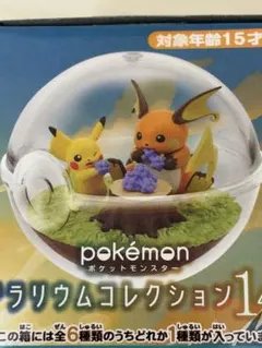 ポケットモンスター　ピカチュウ　ライチュウ　テラリウムコレクション14