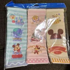 東京ディズニーリゾート キャラクタータオル 3枚セット