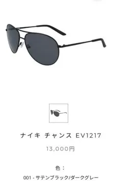 Nike ナイキ チャンス-EV1217-010 パイロットサングラスのサムネイル