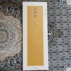 精選拡大法帖20 蜀素帖 宋米芾 二玄社 - メルカリ