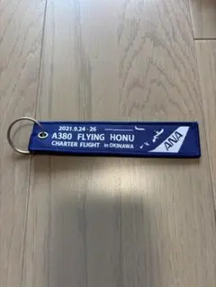 ANA A380 FLYING HONU 沖縄チャーターフライト キーホルダー - メルカリ