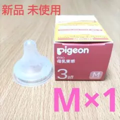 Item thumbnail for item 639f5a51-ad89-4d88-bfe1-2c43a1eb5fda