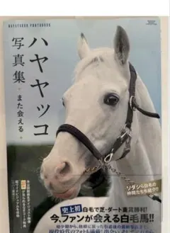 ハヤヤッコ 写真集 また会える