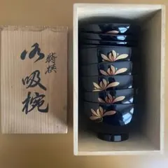 Item thumbnail for item 65620a4b-1c9c-44e7-9c10-bde91e2ec145