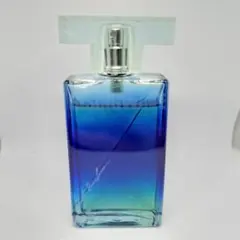 ライジングウェーブ RISINGWAVE オードトワレ 50ml 【S289】のサムネイル