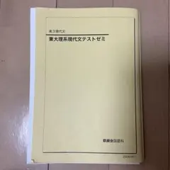 鉄緑会　東大現代文 鉄緑会 現代文の要点の通販 by ハレイワ's shop｜ラクマ