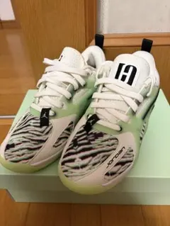 【新品未使用】JORDAN HEIR PF スニーカー 23㎝のサムネイル