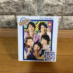 嵐ジグソーパズル 300ピース 26x38cm