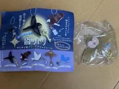 ガチャ 盗ットリ フクロウ&時を刻む光り物 アクリルチャーム