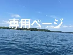 Item thumbnail for item 51d2b24d-6d14-4c3e-a232-5898f2c6b609