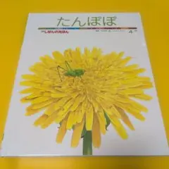 Item thumbnail for item 2e566f4c-a481-48f7-89b7-b361c2dcd4cf