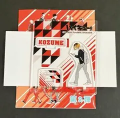ハイキュー アクリルフィギュアコレクション 第2弾 音駒高校 孤爪研磨