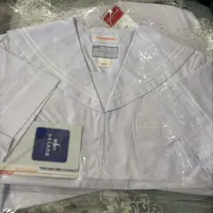 Item thumbnail for item 670a4dc6-6f1e-4c03-bf90-14514a17d4c5