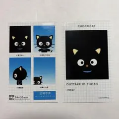 証明写真風スマロイド