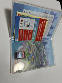 SwitchSports　スイッチスポーツ　ソフト　レッグバンド付き