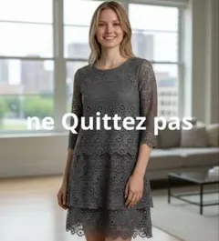 ☆ne Quittez pas☆ヌキテパダークグレー総レースワンピース☆美品☆のサムネイル