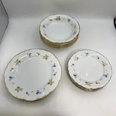 Noritake 花柄 金彩 プレート ボウル 食器セット