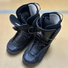 Item thumbnail for item 2fc856a6-72c2-4aca-a98a-dabae6fdafa9