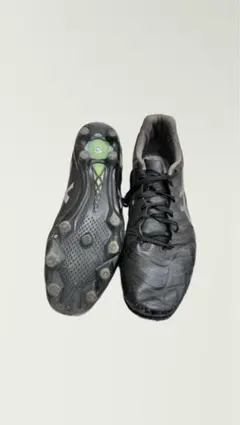 Item thumbnail for item 249d4dbb-f255-431c-8dc5-29f3d9658453