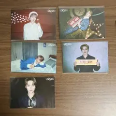 Stray Kids 展示会 ポストカード【リノ】まとめ売り