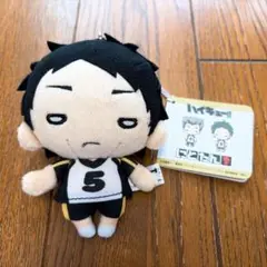 2026年最新】赤葦 にとたん ぬいぐるみの人気アイテム - メルカリ