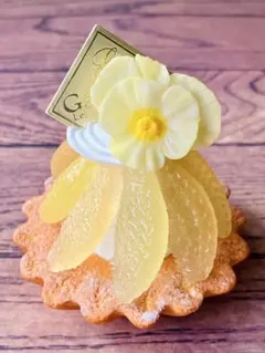 monooki様 リクエスト 2点 まとめ商品