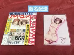 チェンソーマン デンジの袋とじコレクション レゼ ジャンプ　アクスタ2