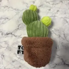 2025年最新】TOFT サボテンの人気アイテム - メルカリ