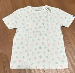 Item thumbnail for item 054c982f-6f49-4080-9696-ffca68667d2d