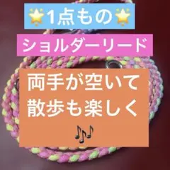 カラビナパラコード　カフェリード　約230cm