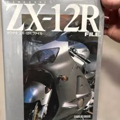 12/23専用出品 2026年最新】Yahoo!オークション -kawasaki zx12rの中古品・新品・未