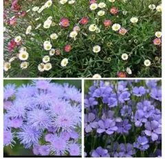 naomi様 リクエスト 2点 まとめ商品