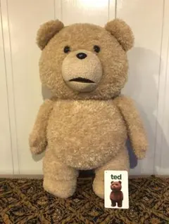 Item thumbnail for item 0363c6f6-aa84-41d2-ab25-9ceea32ff7e4