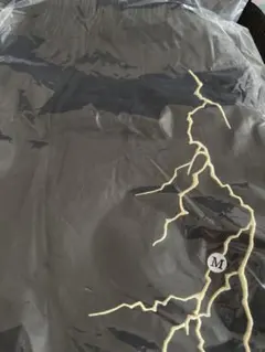M GAKKIN 雷鳴 LIGHTNING EMBROIDERY SHORTS - メルカリ