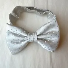 Item thumbnail for item 247dee2b-64f6-4348-9691-ddf8e47d3504