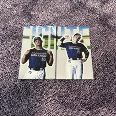 日本ハムファイターズ ステッカーセット