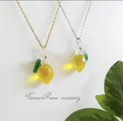 ご専用ページ　　kemu様