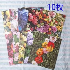 Item thumbnail for item ac3190c7-5a46-492a-b2a5-6649bde58893