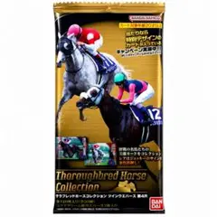 サラブレッドホースコレクション 第4R カード 5枚セット