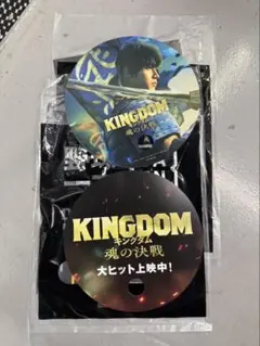 匿名配送❗️非売品❗️キングダム 魂の決戦 うちわ1枚　東京ドーム入場者特典