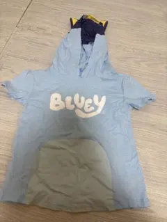 Item thumbnail for item 5231c694-3088-49df-ac95-0bfe87c65154