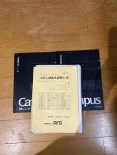 SEG 大学入試基本演習M （クリーム本）&板書ノート - メルカリ
