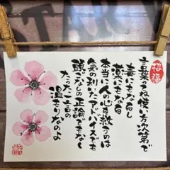 びーちゃん様 リクエスト 2点 まとめ商品