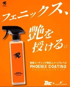 ながら洗車バディカフェニックスコーティングセット ながら洗車 フェニックス コーティング バディカ ながら洗車 新作