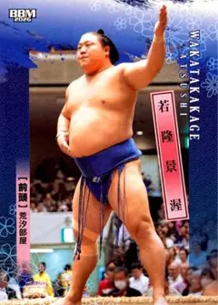 2026年最新】若隆景 カードの人気アイテム - メルカリ