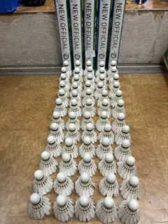 Item thumbnail for item 40031140-3e1b-4231-b24a-bc2db6d936f5